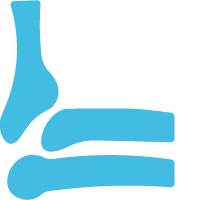 Bone icon