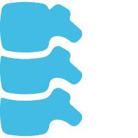 Spine icon